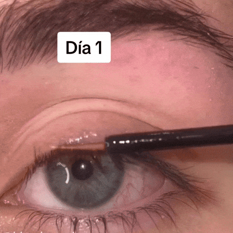 Encabezado