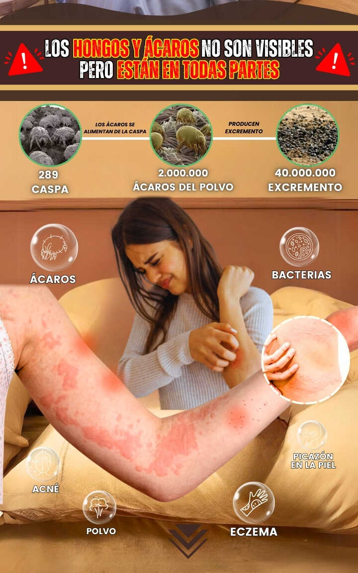Encabezado