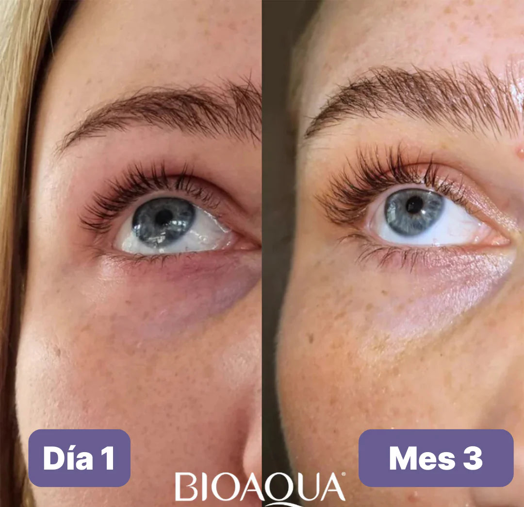 Encabezado