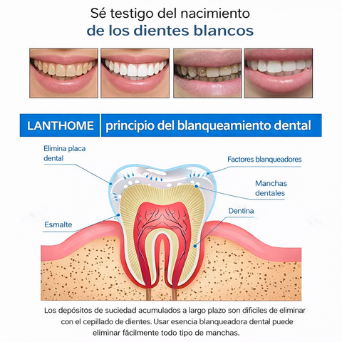 Producto