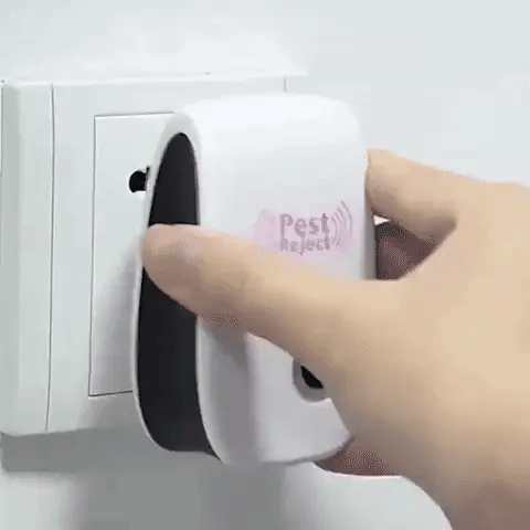 Encabezado